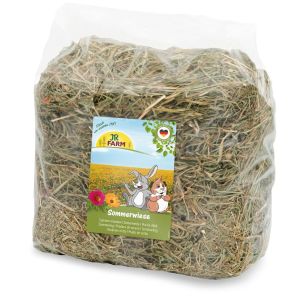 בית הארנב - Casa Rabbit נישנושים לארנבים אספסת טרייה - פרחי קיץ