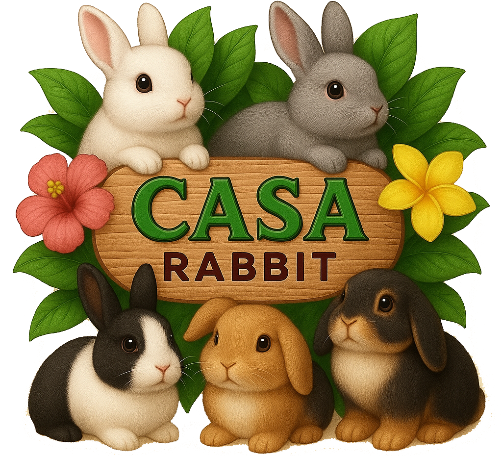 בית הארנב - Casa Rabbit
